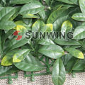 Haie en plastique décorative et de jardin de Sunwing